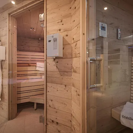Aparthotel - Premium Mountain&garden Mayrhofen