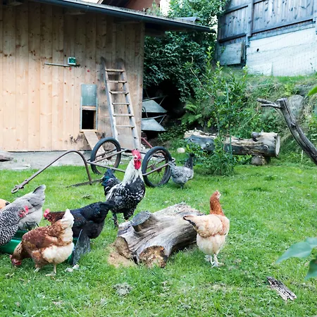 - Premium Mountain&garden