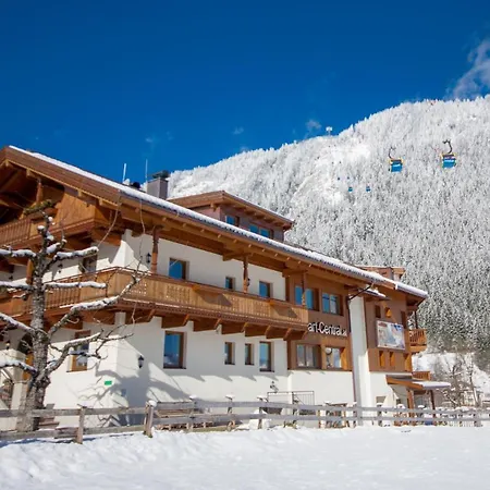 – Premium Mountain&garden