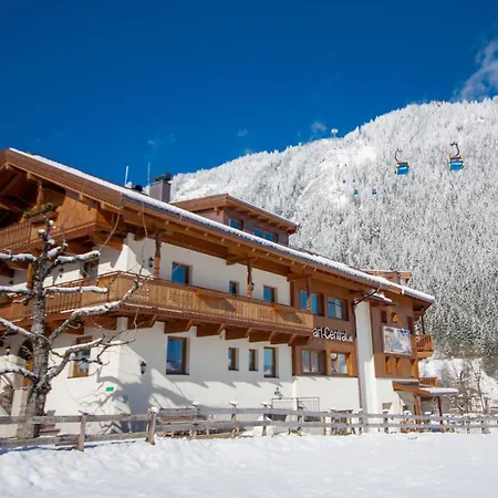 - Premium Mountain&garden