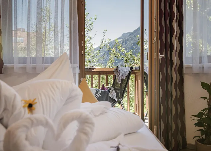 - Premium Mountain&garden